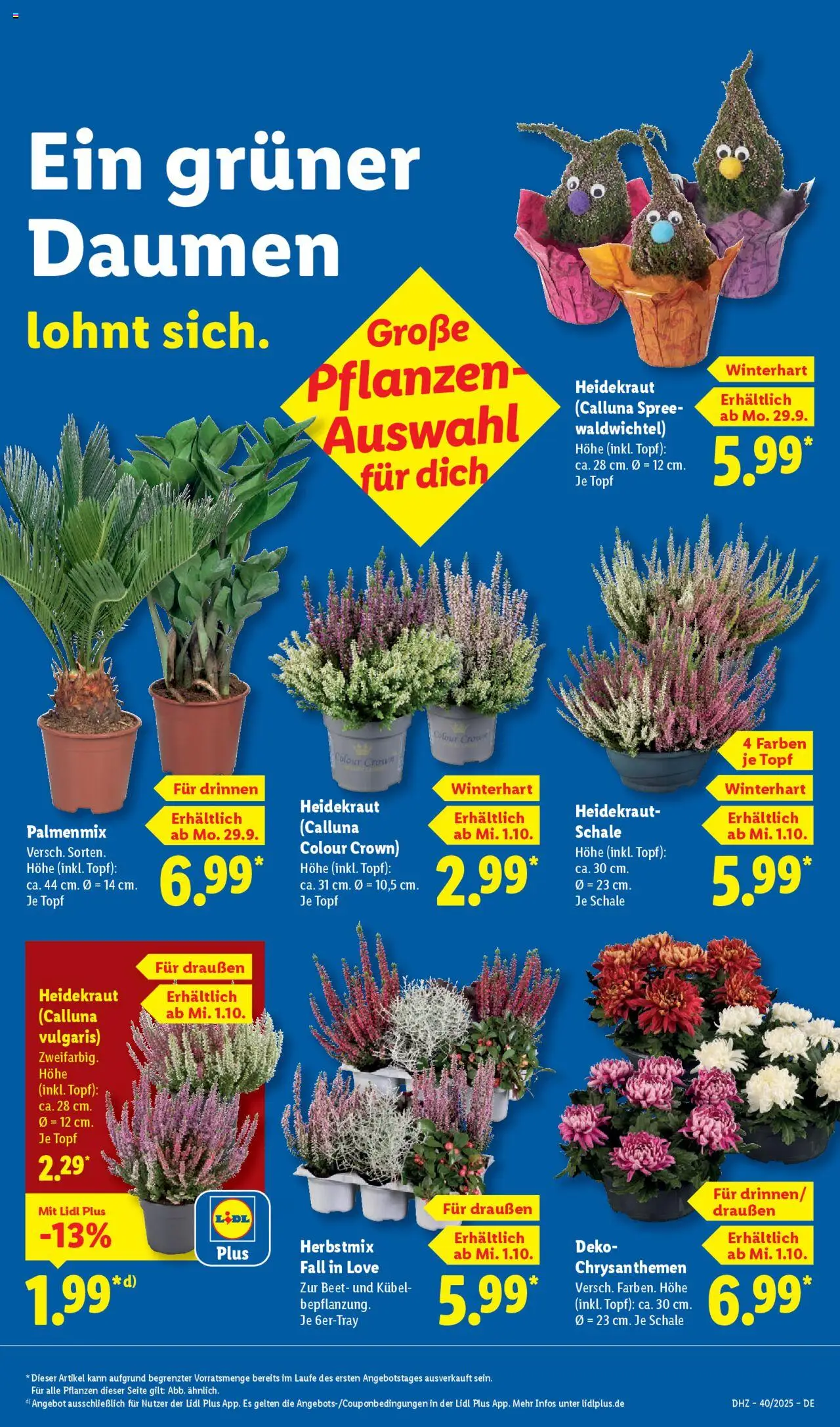 Lidl Prospekt 	 – gültig ab 29.09.2025 | Seite: 9