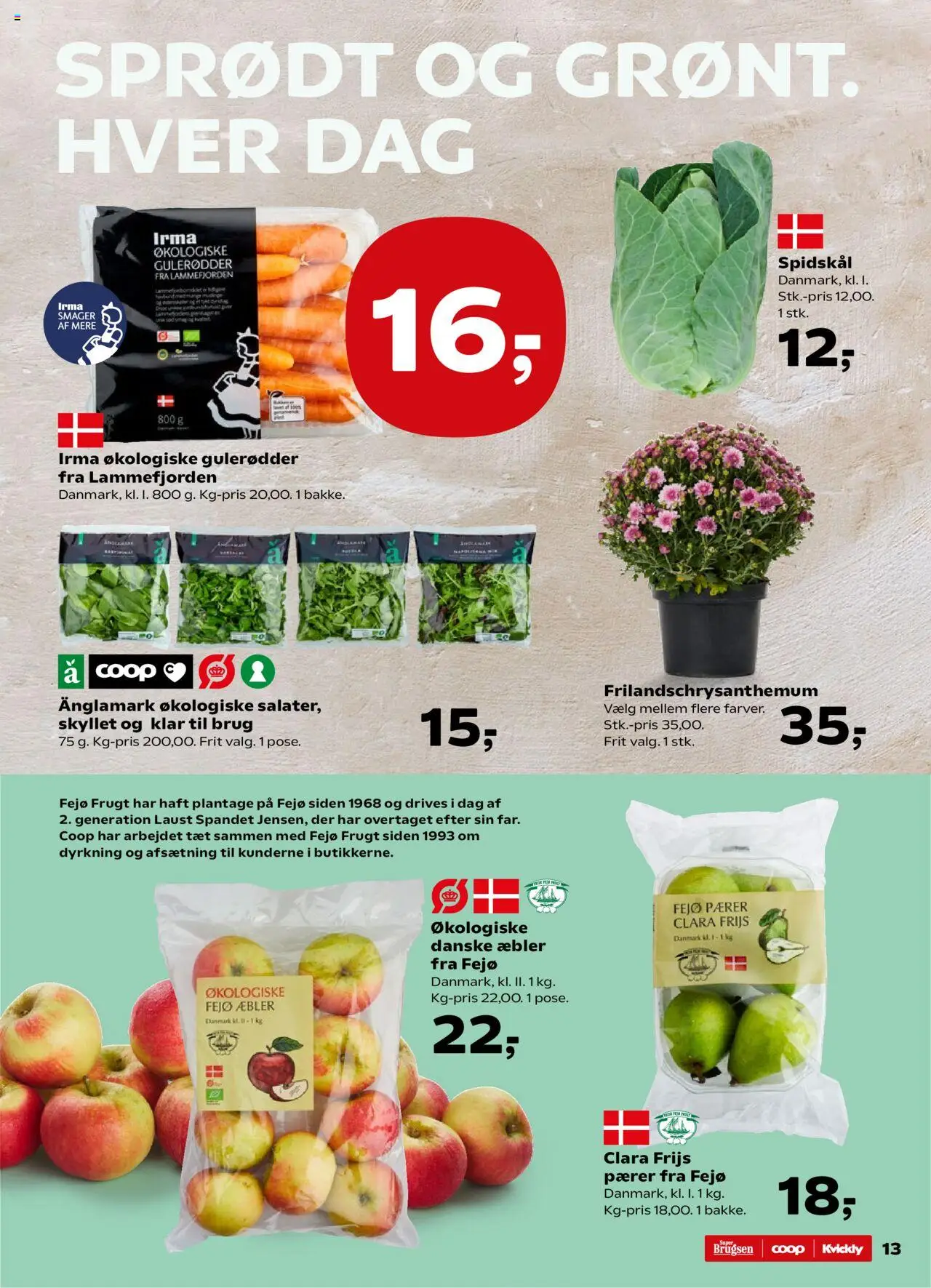 Kvickly tilbudsavis – gyldig fra 19.09.2025 | Side: 13 | Produkter: Æbler, Gulerødder, Spidskål, Pærer