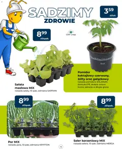 Pogląd oferty "Mrówka gazetka" - ważna od 23.04.2026 | Strona: 16 | Produkty: Por, Doniczka, Owoce