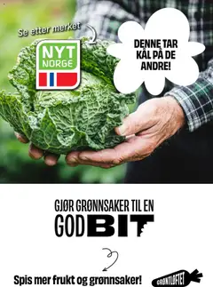  | Side: 10 | Produkter: Umetna rastlina, Kål