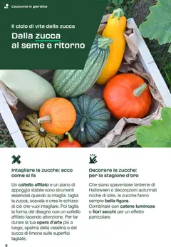 Volantino Lidl del 31.08.2025 | Pagina: 8 | Prodotti: Succo, Limone, Zucca, Decorazioni