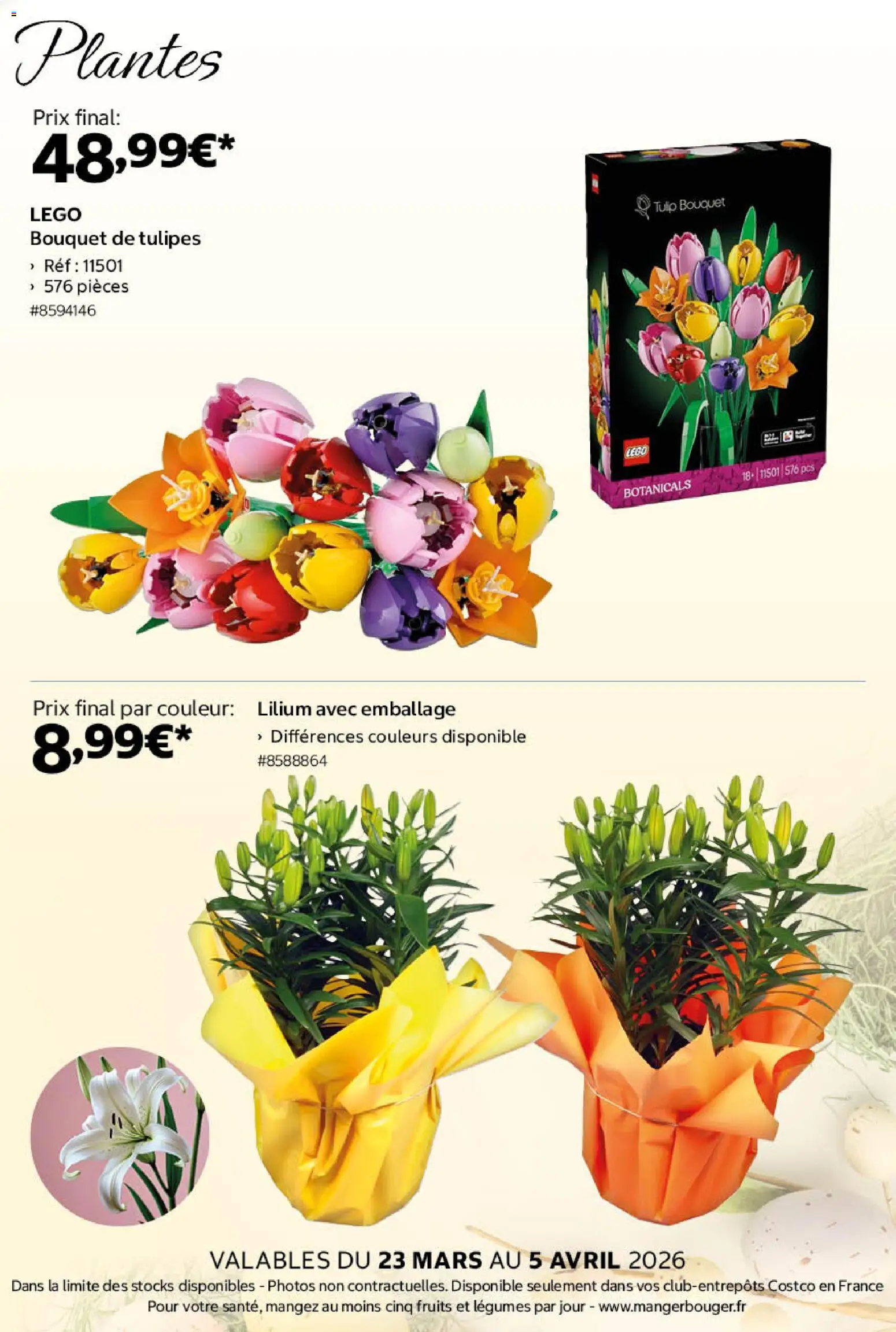 {H1} | Page: 17 | Produits: Légo, Plantes, Tulipes