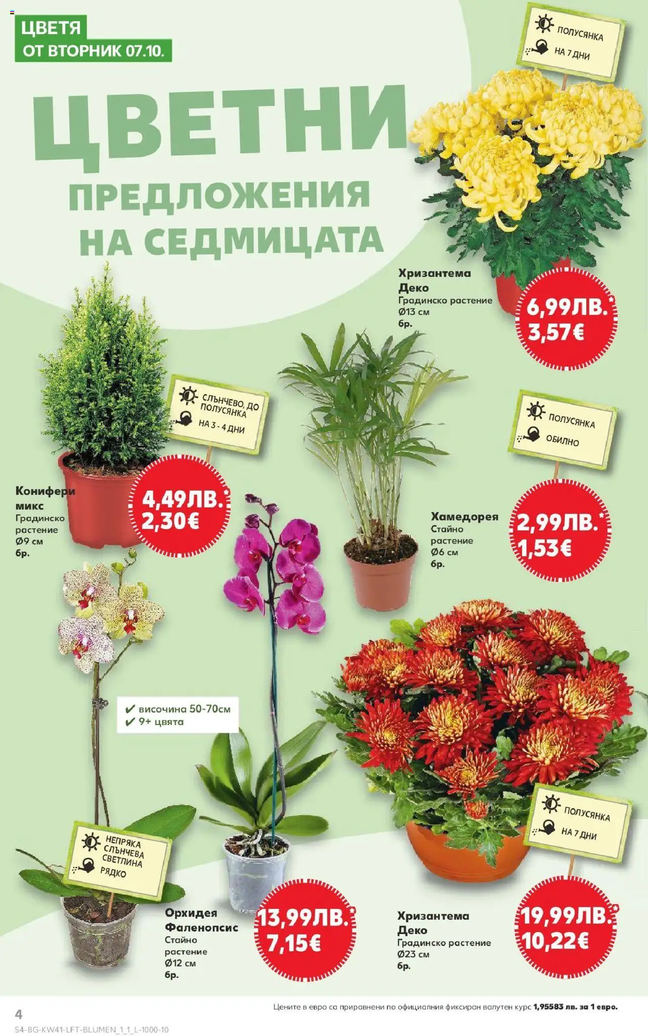 {H1} | Страница: 4 | Продукти: Орхидея, Хризантема