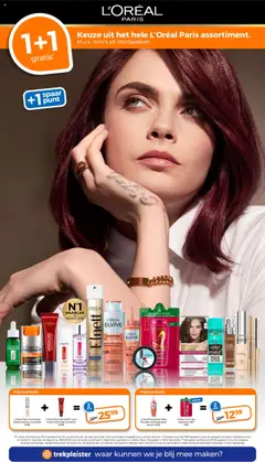  | Pagina: 6 | Producten: Haarlak, Kan, Concealer, Shampoo