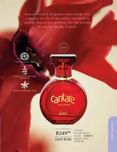 Justine specials catalogue – valid from 01.01.2026 | Page: 53