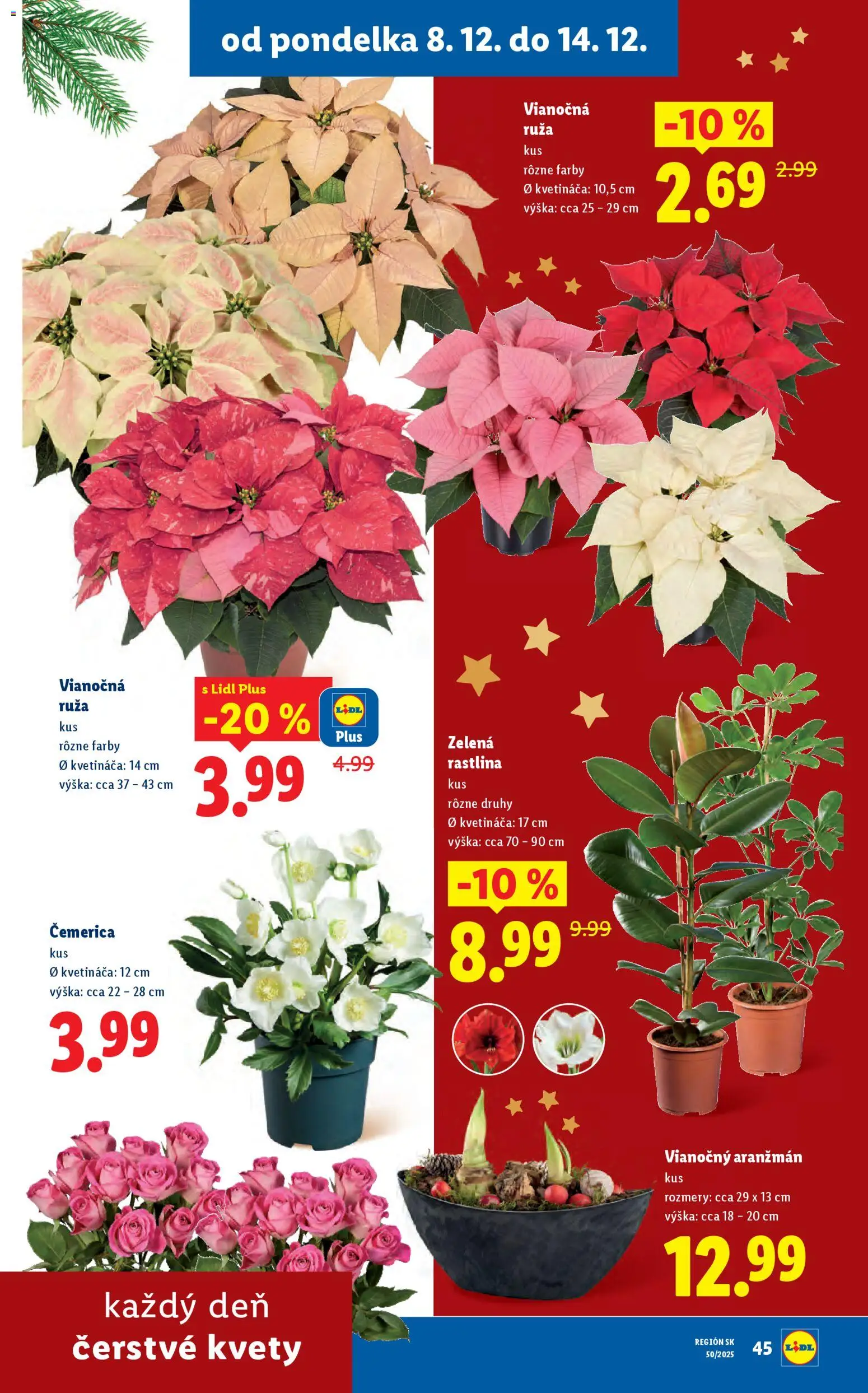 Nové Lidl akcie – leták je platný od 11.12.2025 | Strana: 77 | Produkty: Kvety