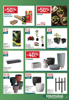 ERMITAŽAS leidinys galioja nuo 02.02.2026 | Puslapis: 43 | Prekių: Vazonas, Stovas