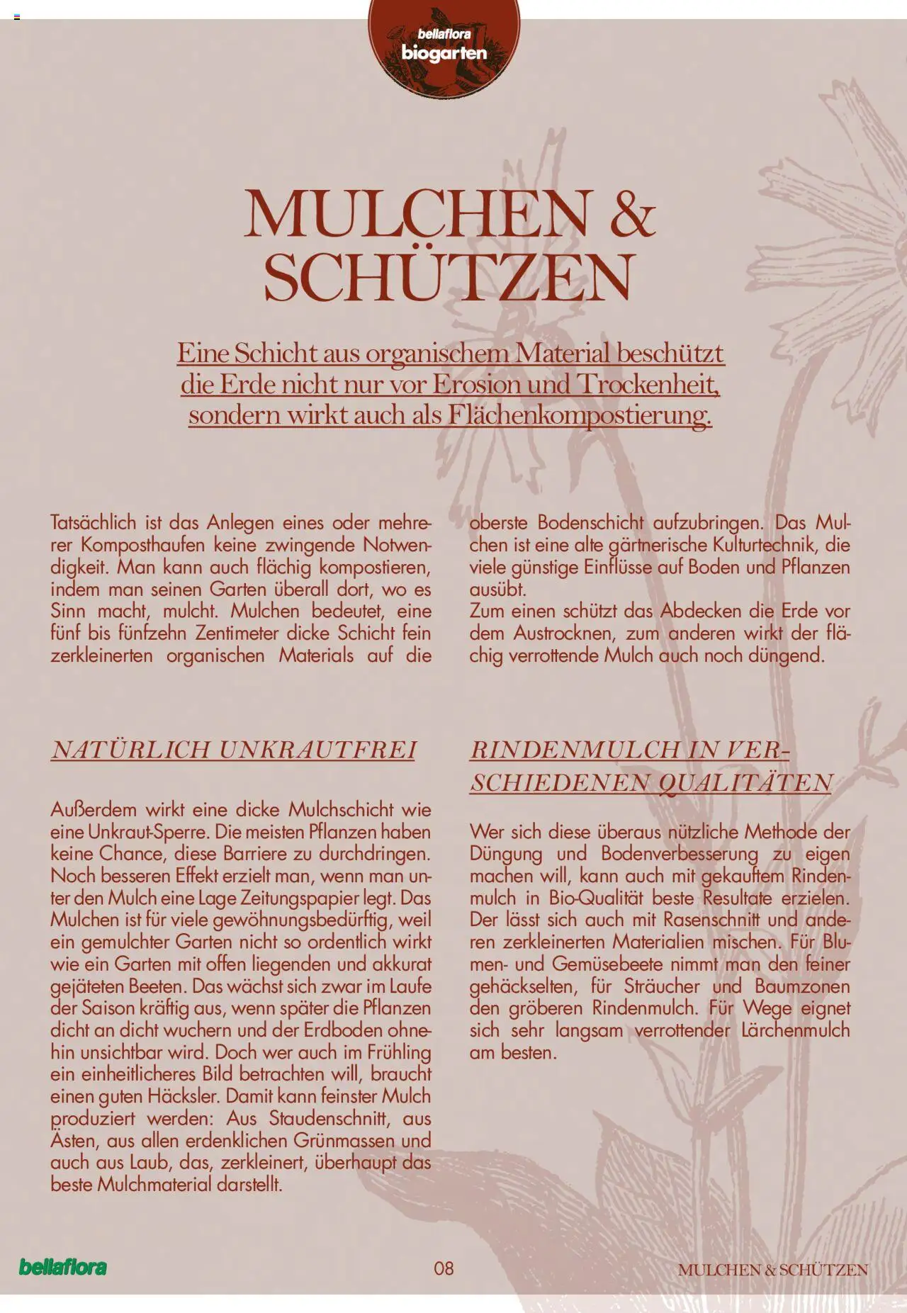 bellaflora Flugblatt gültig ab 24.06.2022 | Seite: 8