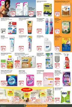 Globus Prospekt 	 ab 13.04.2026 gültig | Seite: 21 | Produkte: Bikini, Mundwasser, Kuchen, Lavendel