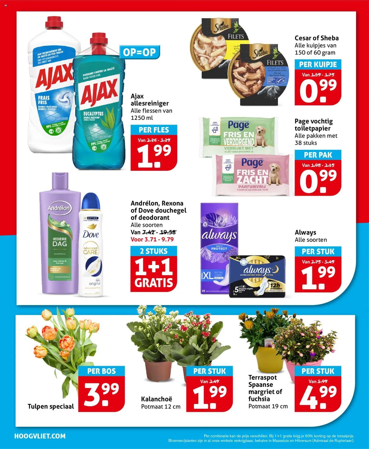 {H1} | Pagina: 26 | Producten: Deodorant, Kan, Fles, Shampoo