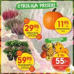 EKO - erbjudanden - Förhandsvisning av reklamblad från butik EKO aktuell från 13.10.2025
