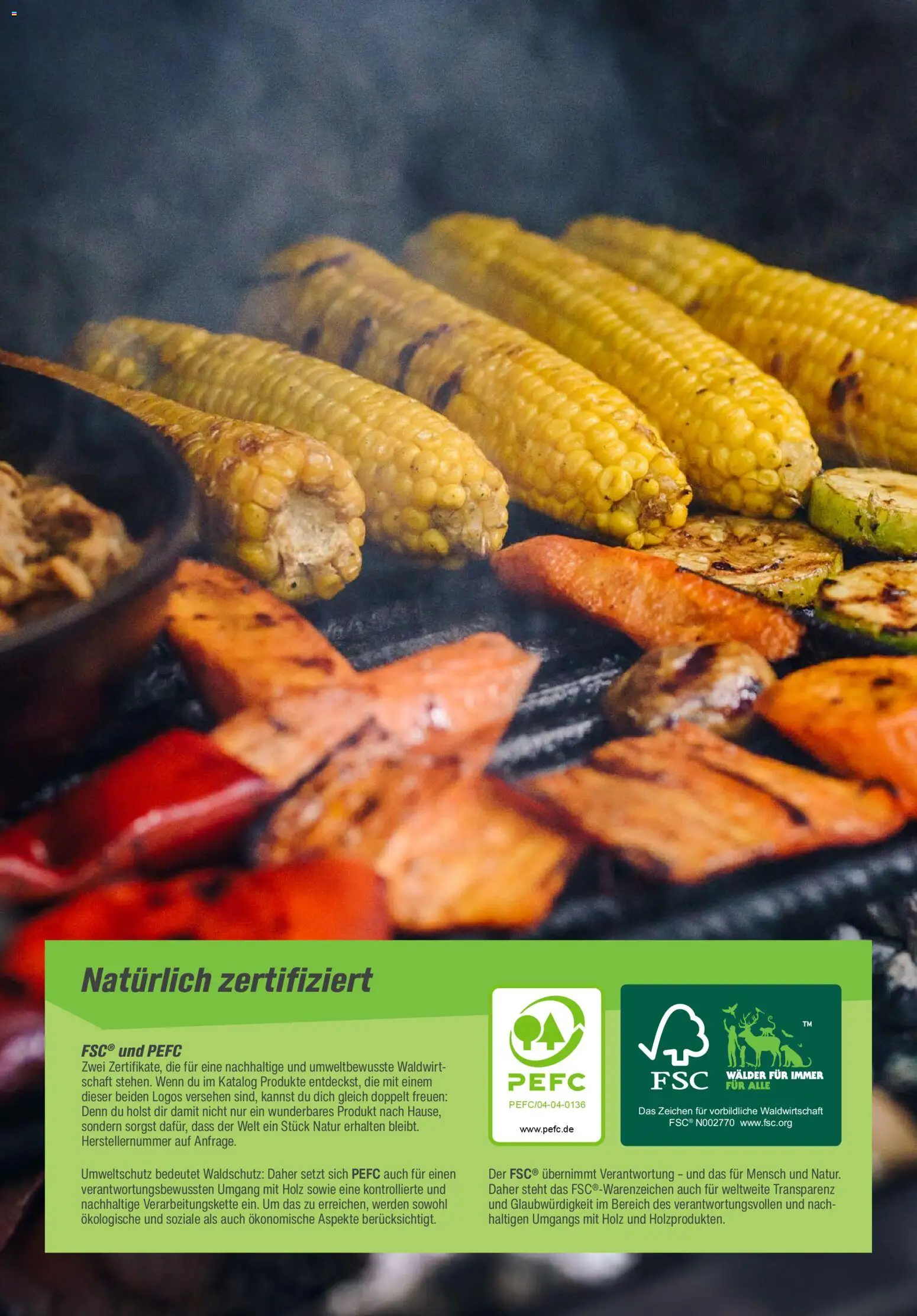 Toom Baumarkt  Grills & Zubehör 2026 – gültig ab 14.02.2026 | Seite: 2