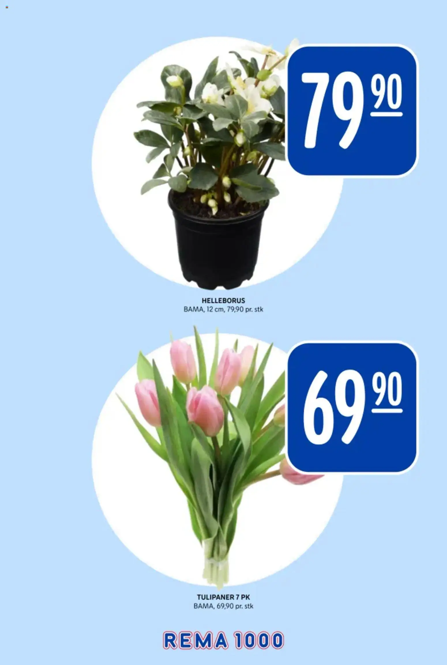 {H1} | Side: 20 | Produkter: Fyldt pasta