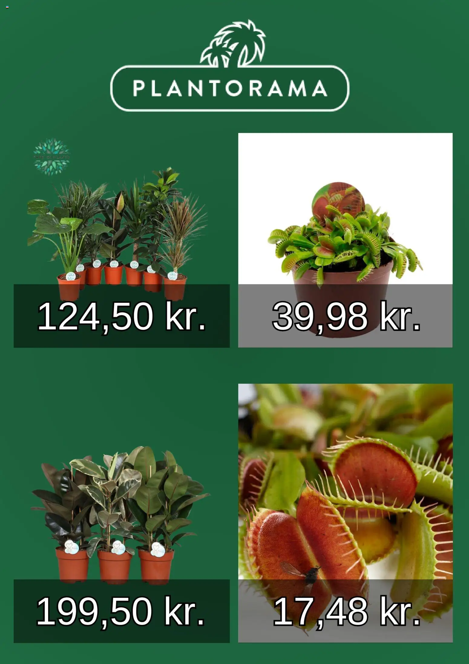 Plantorama tilbudsavis – gyldig fra 01.01.2026 | Side: 4