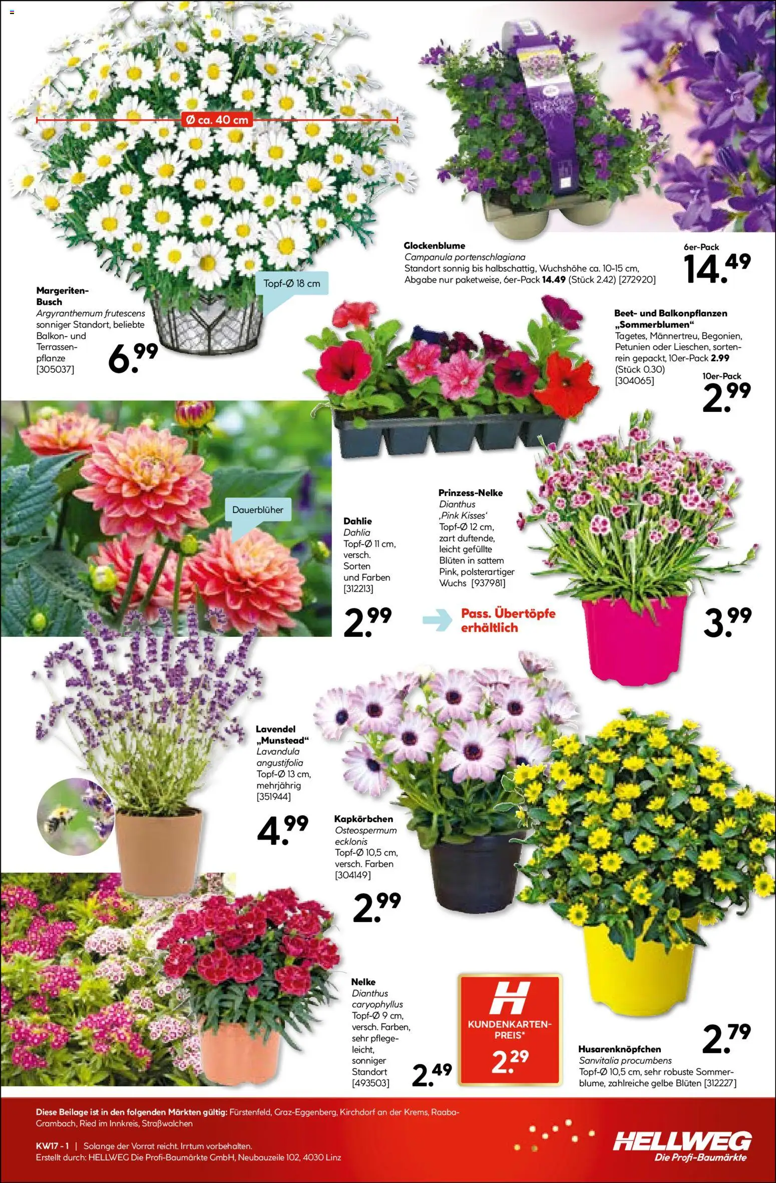 HELLWEG Flugblatt gültig ab 23.04.2026 | Seite: 19