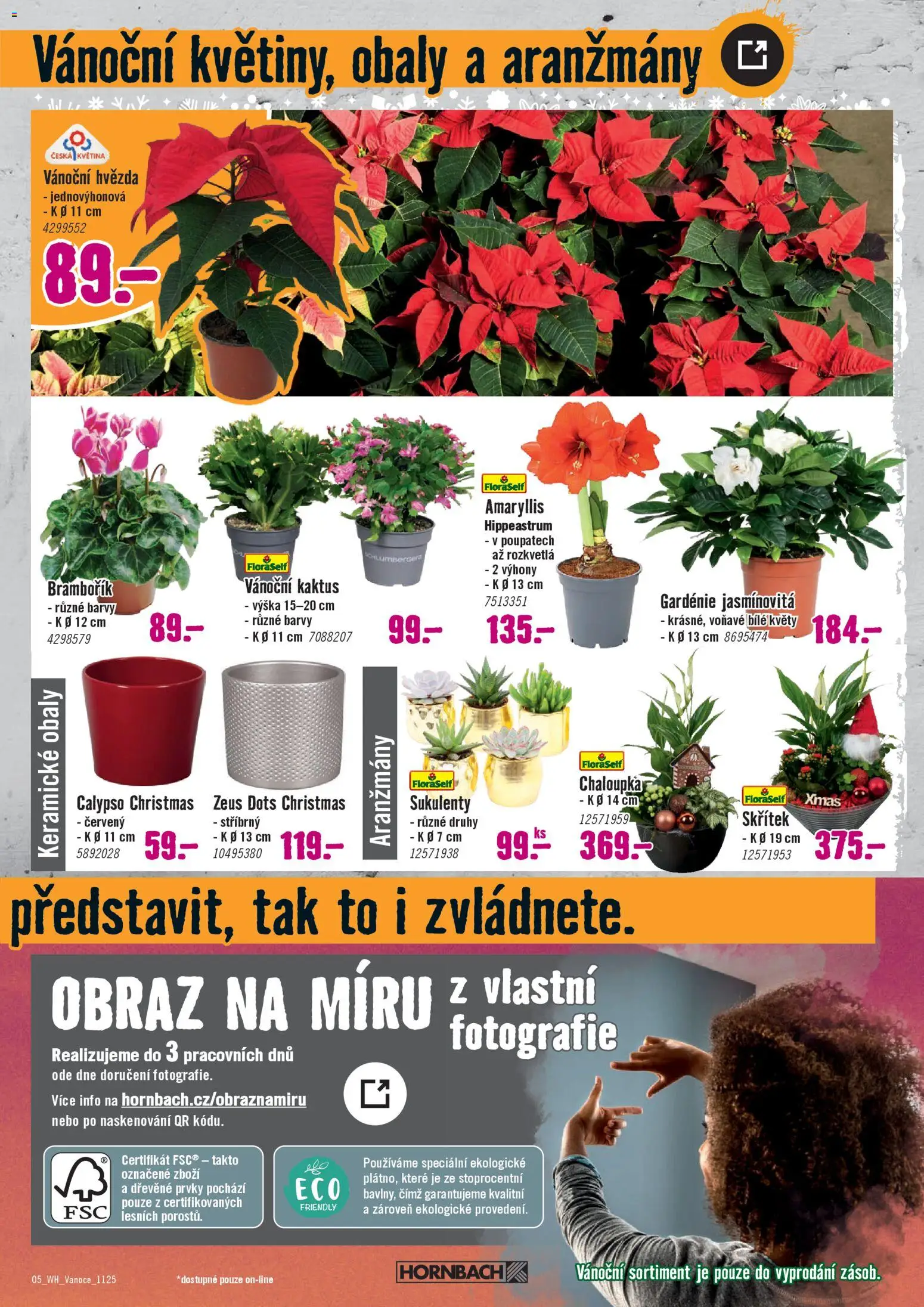 HORNBACH leták - Vánoční dekorace od 29.10.2025 | Strana: 5 | Produkty: Barvy, Obraz