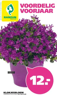 Ranzijn folder - Voorbeeld van een folder van Ranzijn, geldig van 29.03.2026