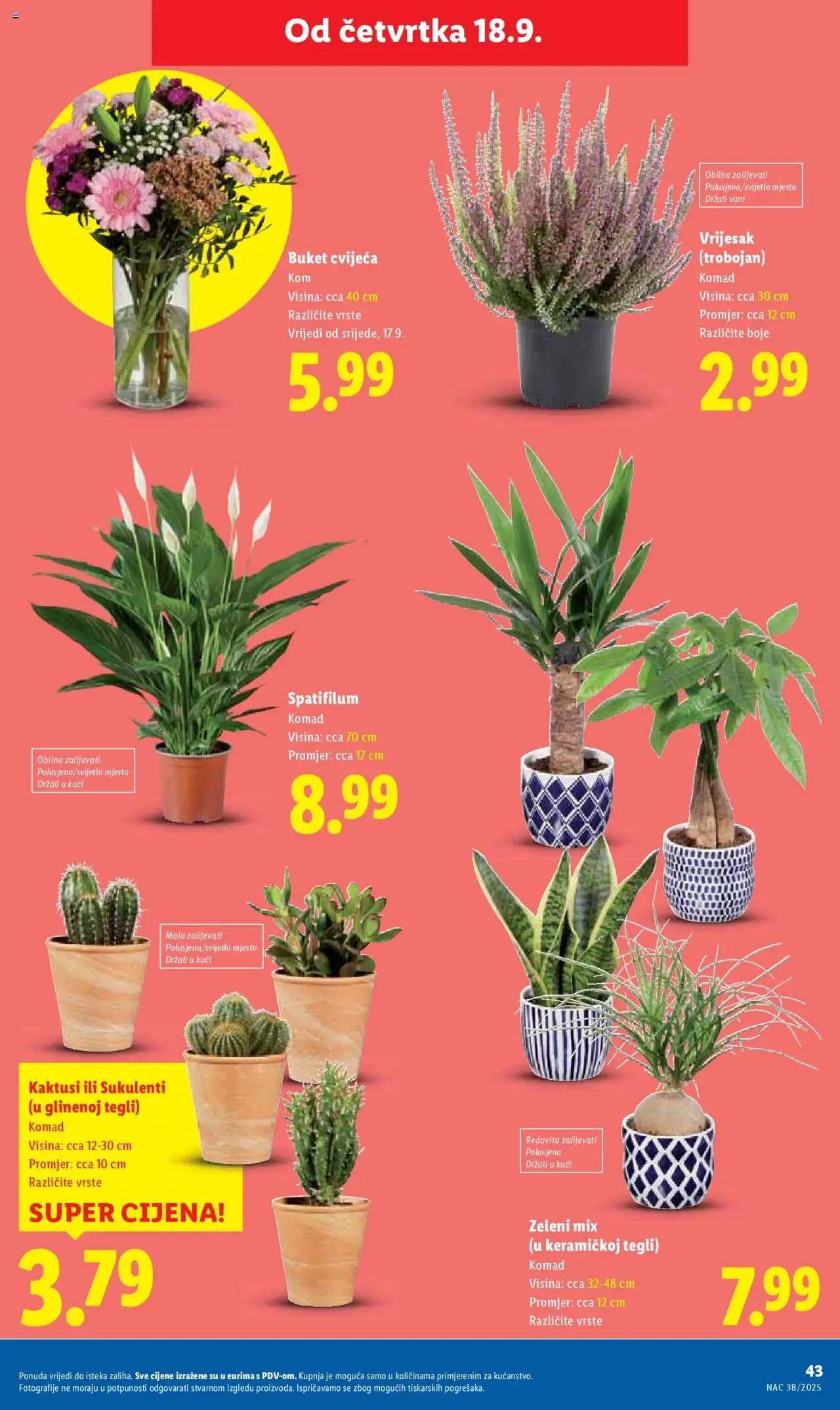 Lidl katalog | vrijedi od 18.09.2025 | Stranica: 43