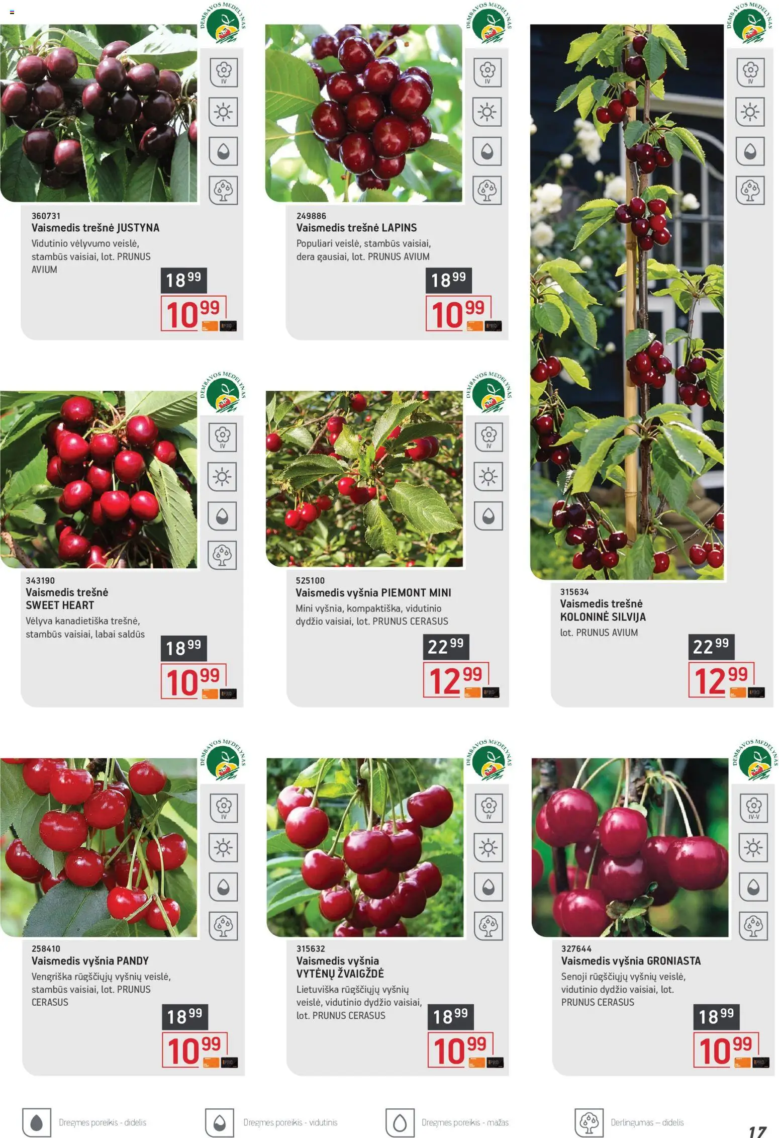 ERMITAŽAS akcijos nuo 04.05.2026 | Puslapis: 17