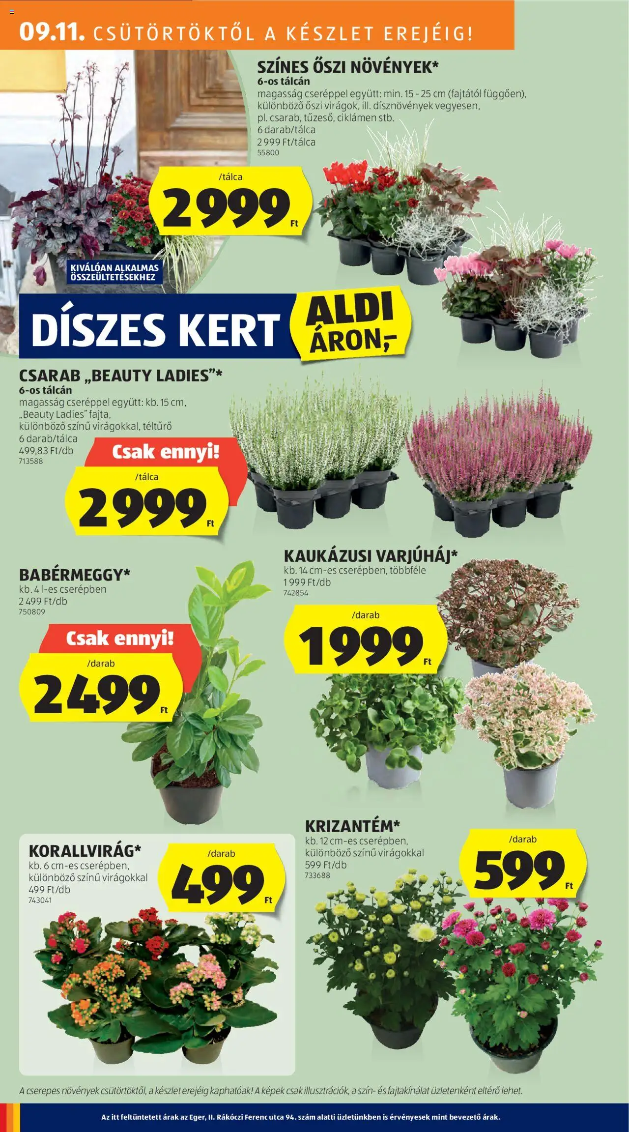 Aldi akciós ujság - amely érvényes a következő dátumtól: 11.09.2025 | Oldal: 6