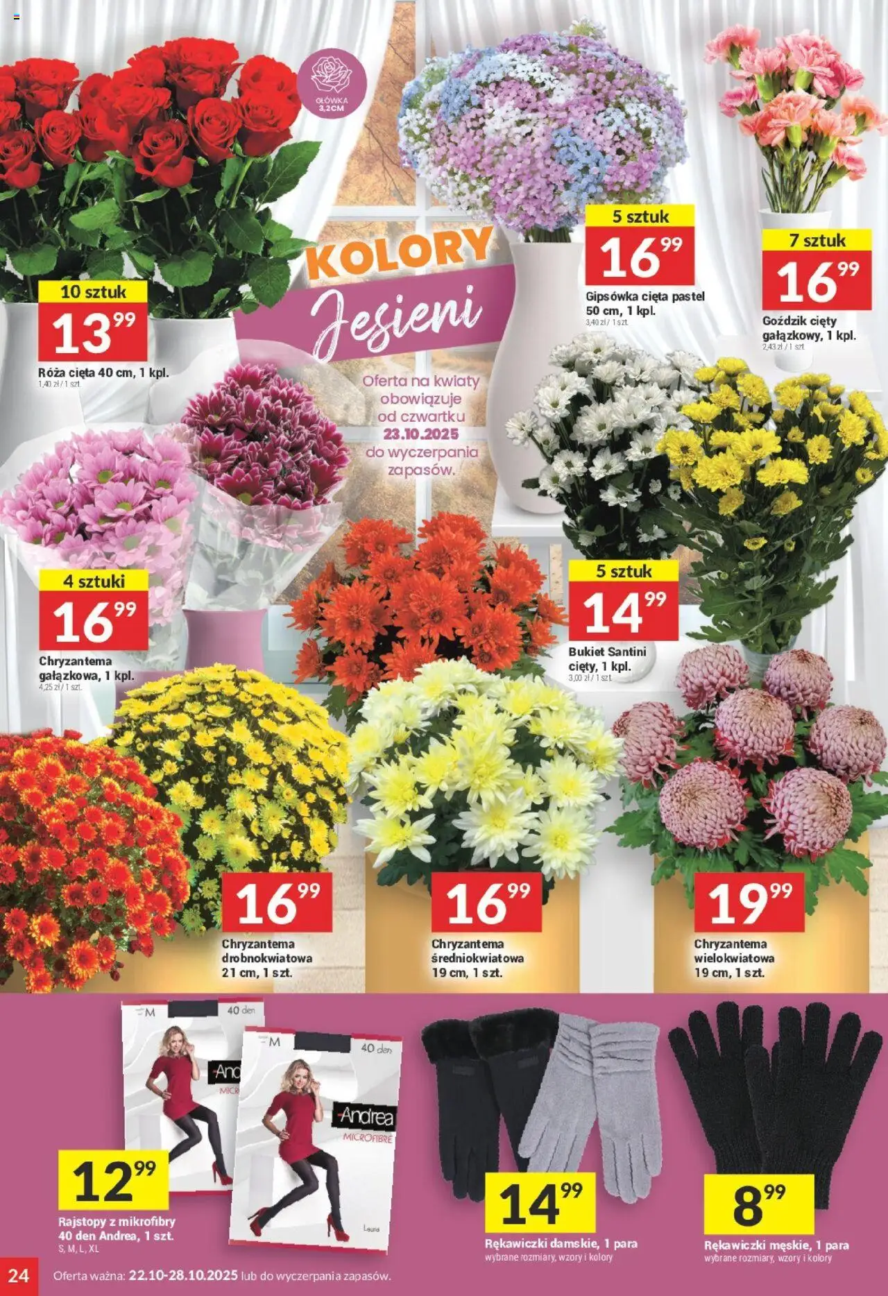 Twój Market Gazetka od 22.10.2025 | Strona: 24 | Produkty: Rękawiczki, Rajstopy, Goździk, Kwiaty