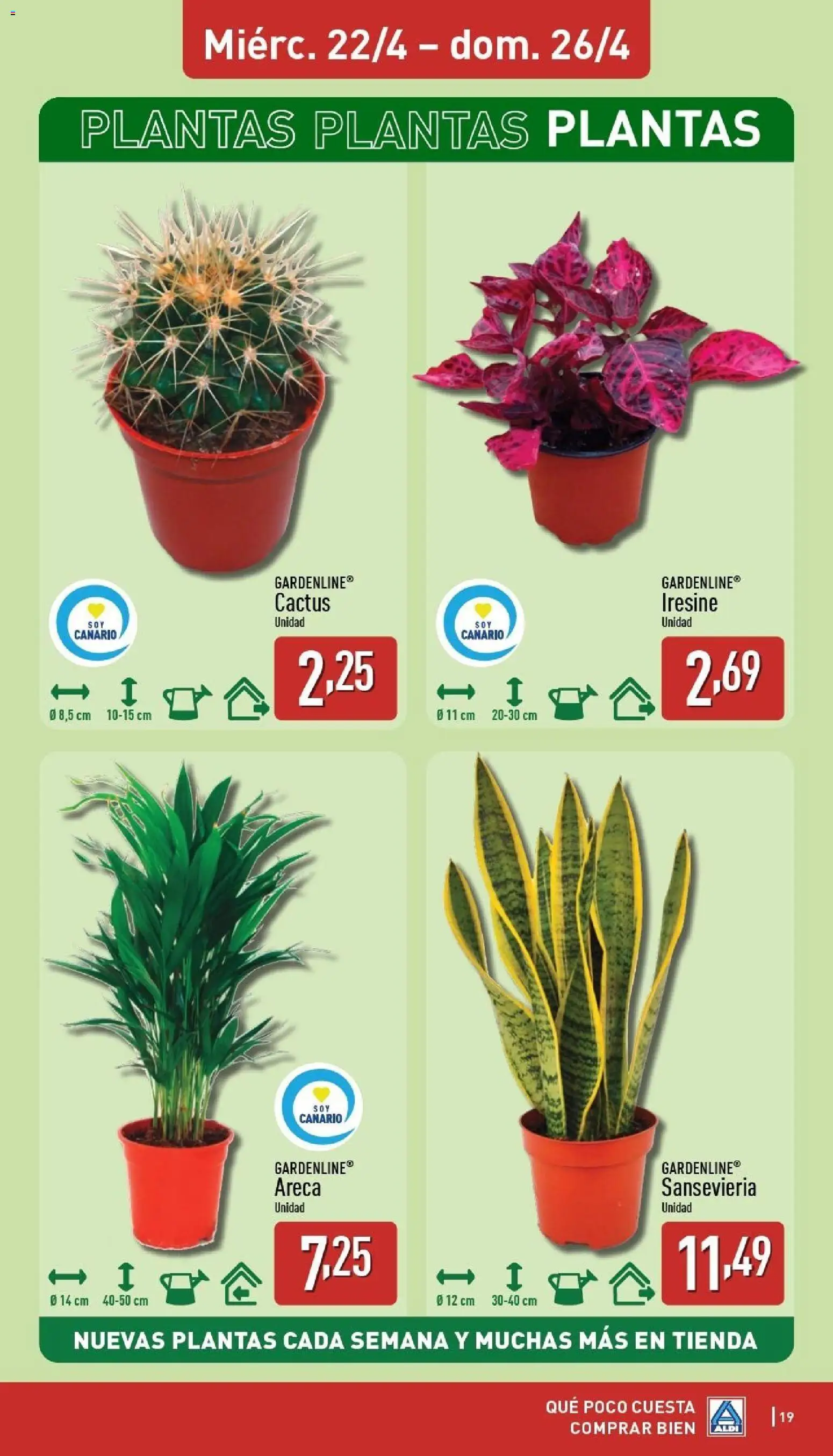 Aldi folleto Canarias │ válido desde el 20.04.2026 | Página: 19