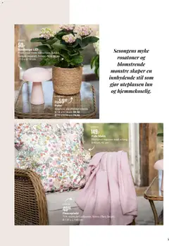 Forhåndsvisning av Europris Sommerkatalogen 2026 gyldig fra 24.03.2026 | Side: 5 | Produkter: Сервер, Pute, Jeux