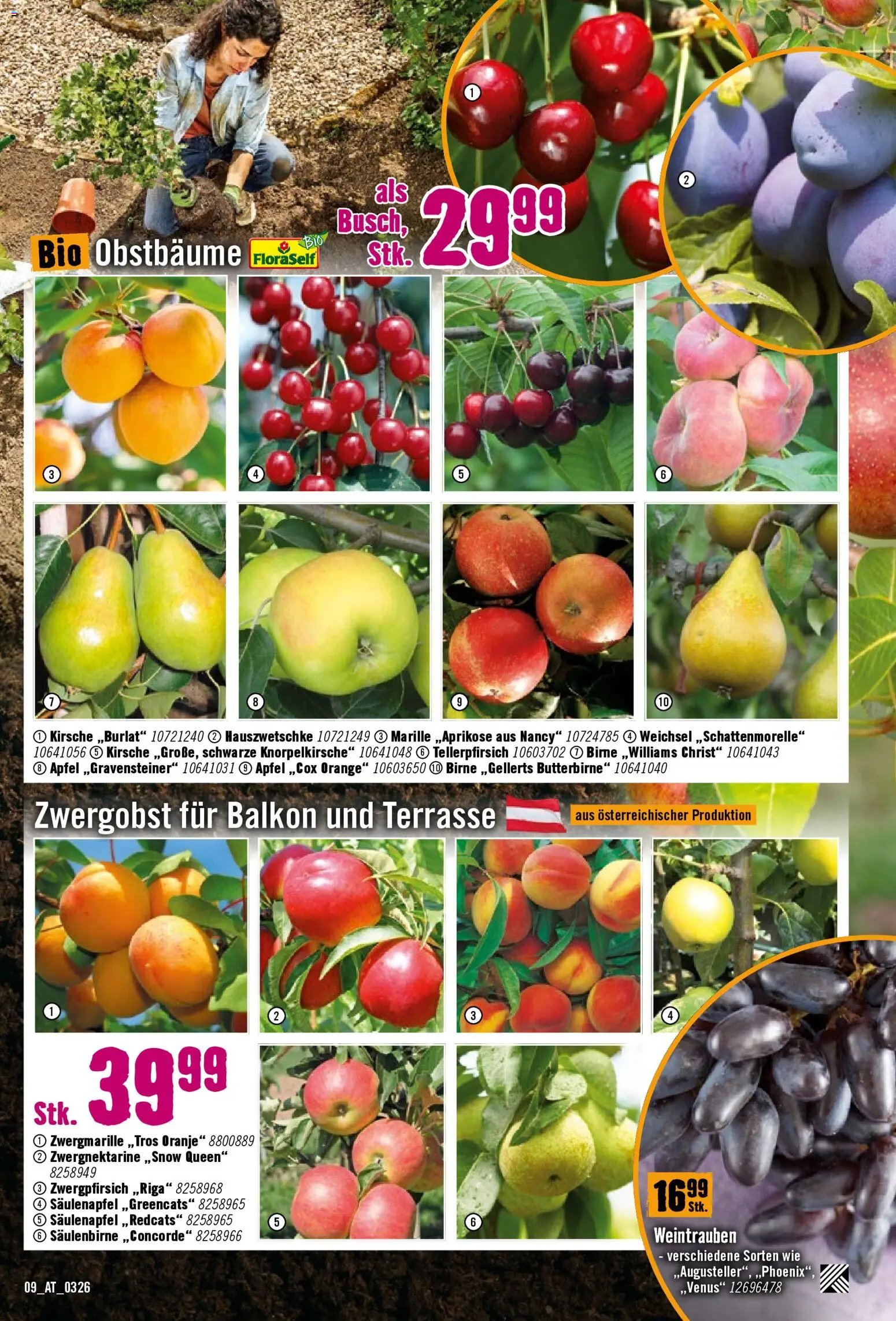 Hornbach Flugblatt gültig ab 17.03.2026 | Seite: 9 | Produkte: Weintrauben, Birne, Äpfel