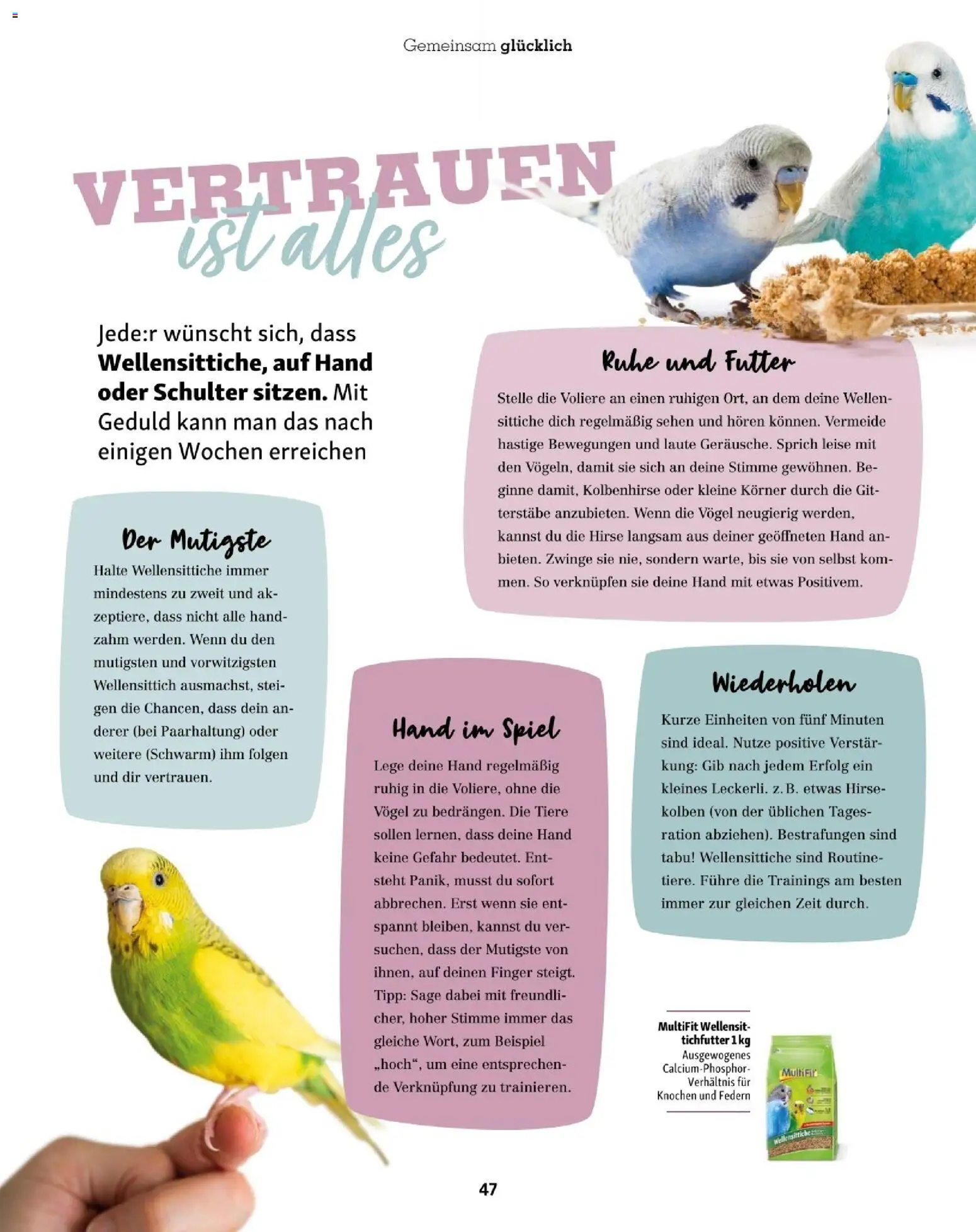 Fressnapf Friends 01/26 gültig ab 01.01.2026 | Seite: 47 | Produkte: Spiel