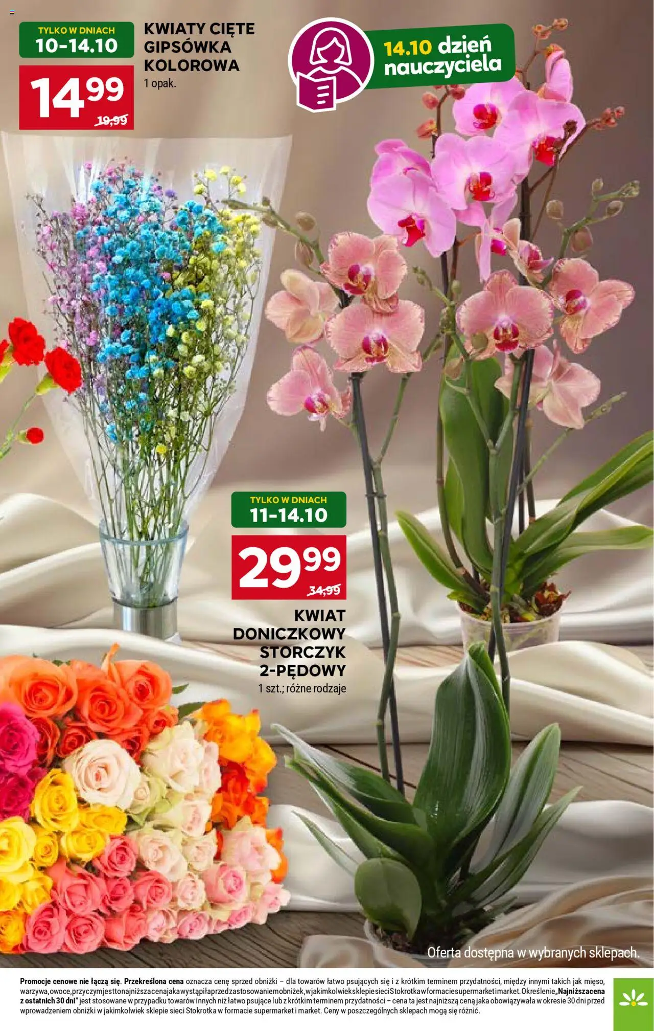 Stokrotka Gazetka od 09.10.2025 | Strona: 7 | Produkty: Kwiaty cięte, Stokrotka, Storczyk, Kwiaty