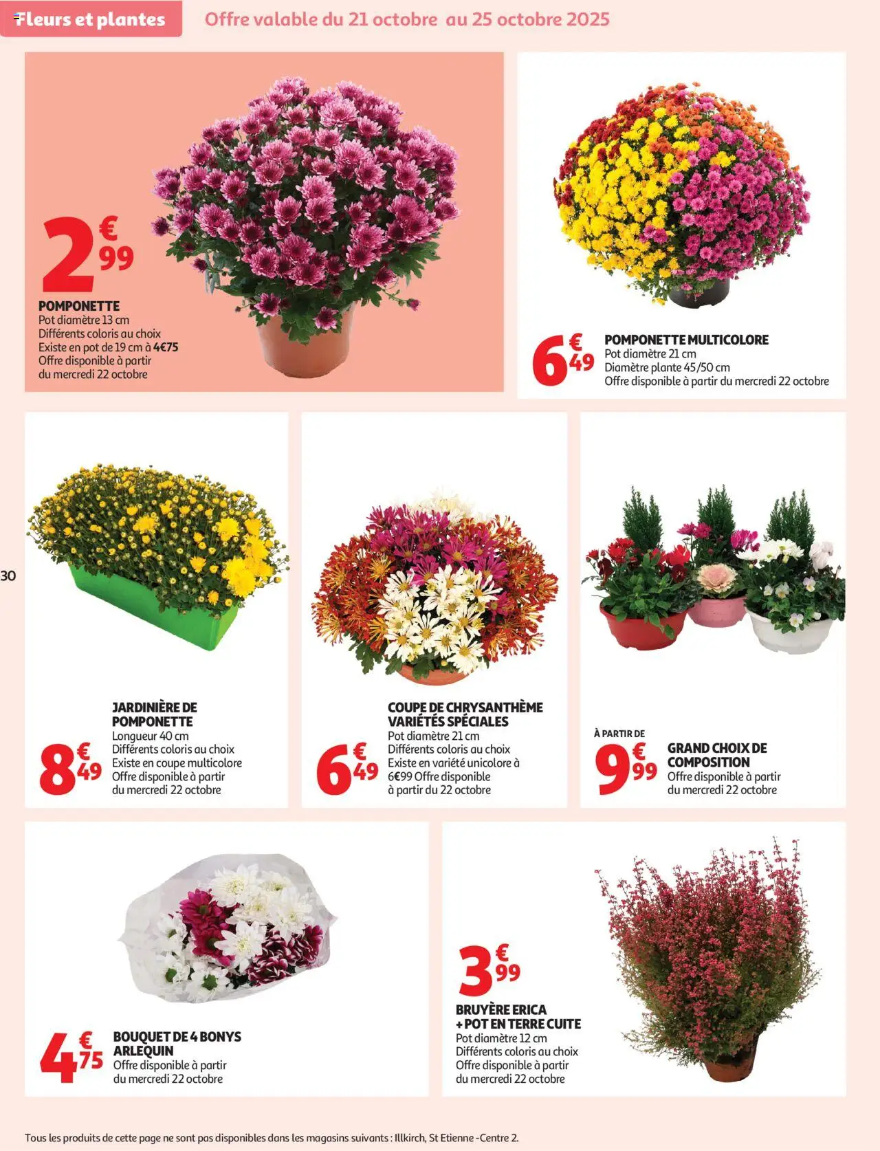 {H1} | Page: 31 | Produits: Plantes, Jardinière, Chrysanthème, Fleurs et plantes