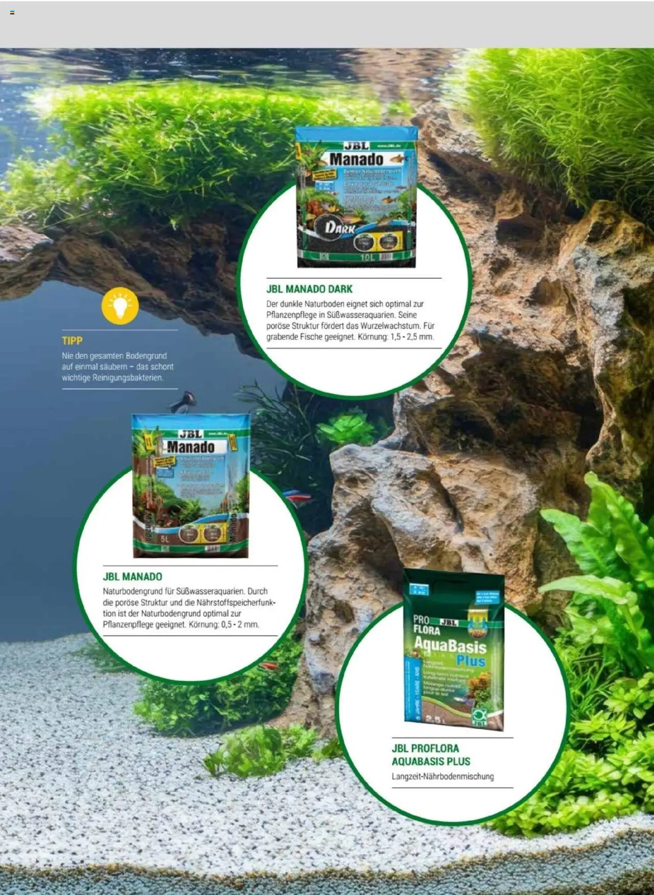 zookauf Themenkatalog Aquaristik – gültig ab 01.10.2025 | Seite: 35