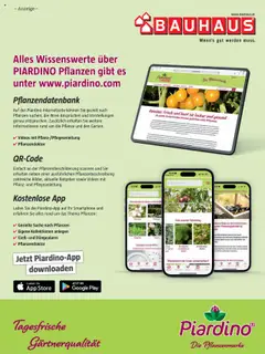 Bauhaus Passt! ab 01.10.2025 gültig | Seite: 37 | Produkte: Gurken, Gemüse, Smartphone