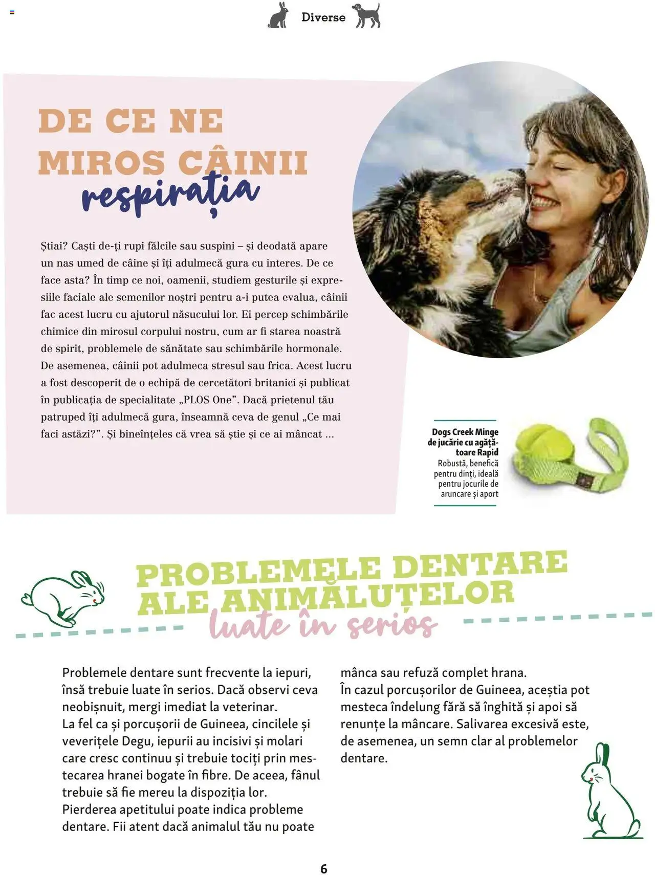 Catalog Fressnapf - Vară – valabil de la 05.05.2025 | Pagină: 6 | Produse: Căști