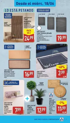Aldi folleto Península │ válido desde el 16.06.2025 | Página: 19 | Productos: Planta artificial, Peso, Alfombra, Felpudo