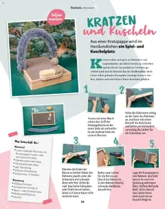 Fressnapf Flugblatt ab 01.09.2025 gültig | Seite: 34 | Produkte: Spiel, Bürste