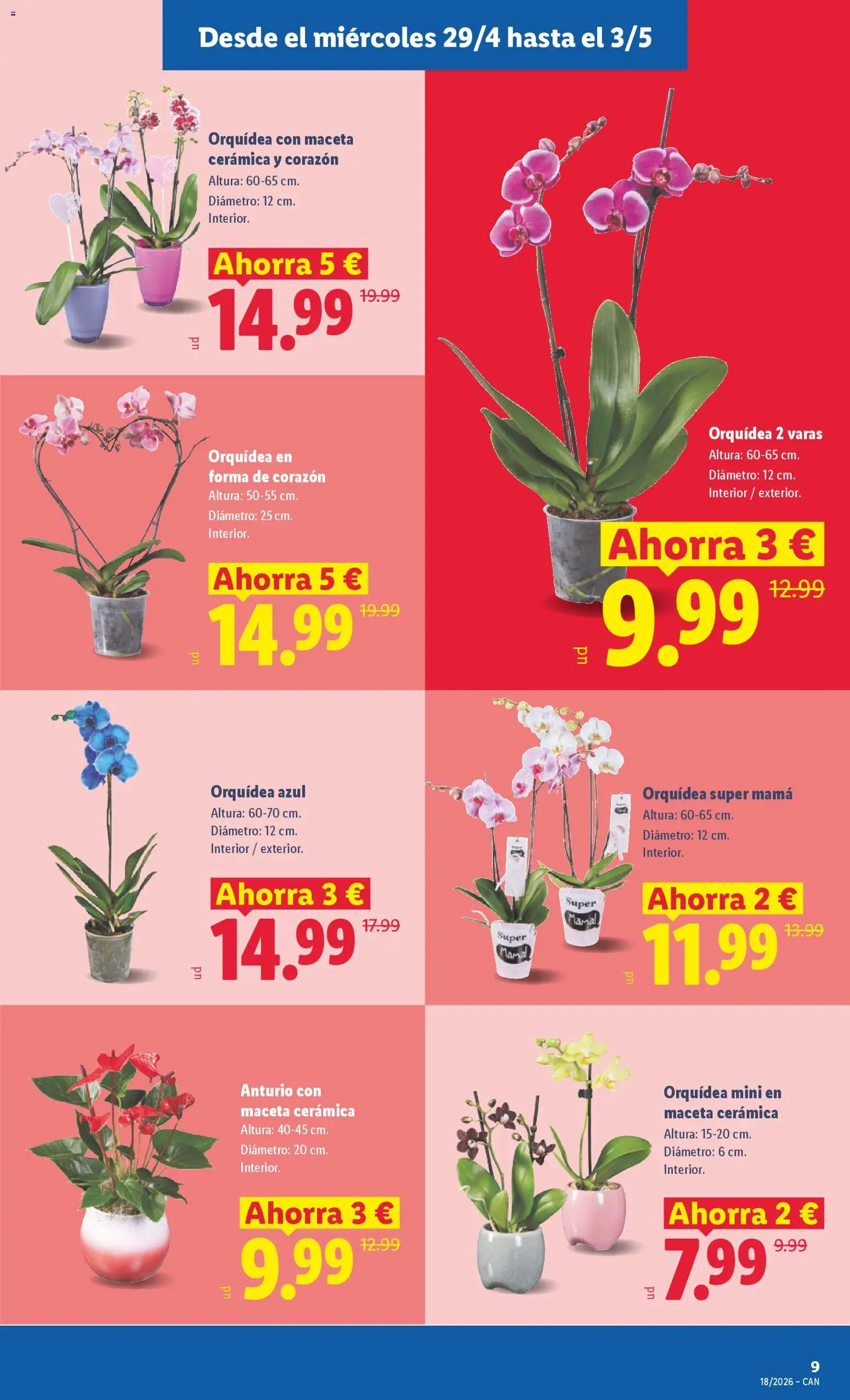 Lidl folleto │ válido desde el 27.04.2026 | Página: 47 | Productos: Maceta