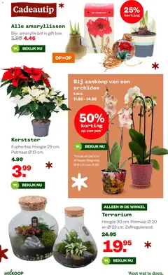 Welkoop - Folder - Voorbeeld van een folder van Welkoop, geldig van 08.12.2025 | Pagina: 4 | Producten: Pot, Box, Bol