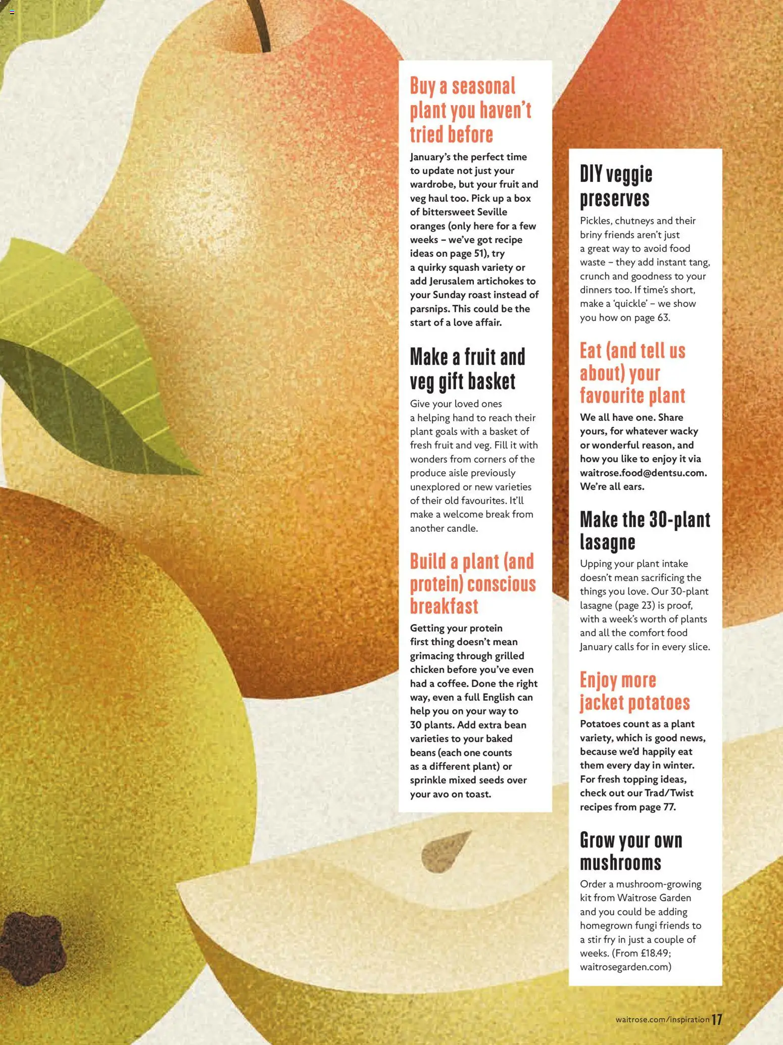 {H1} | Page: 17 | Products: Oranges, Mushrooms, Potatoes, Veggie