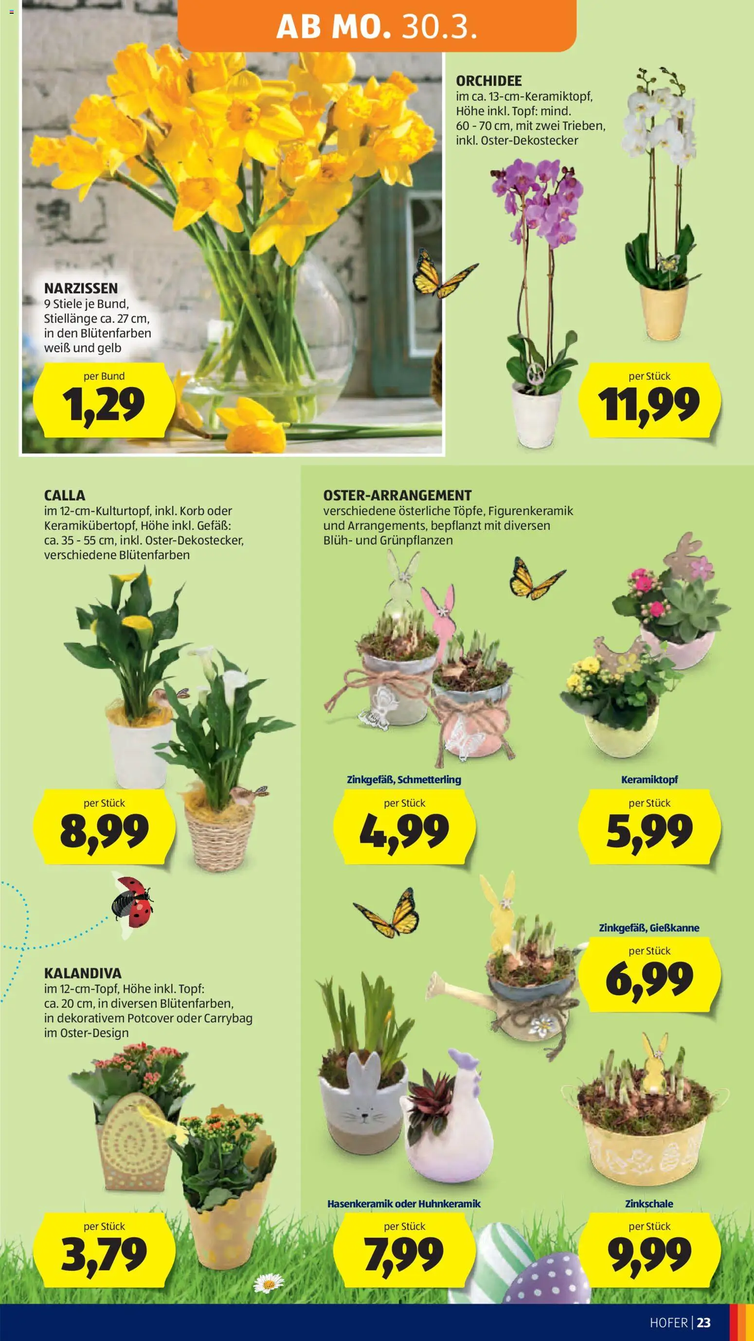 Hofer AT akciós ujság - amely érvényes a következő dátumtól: 27.03.2026 | Oldal: 29