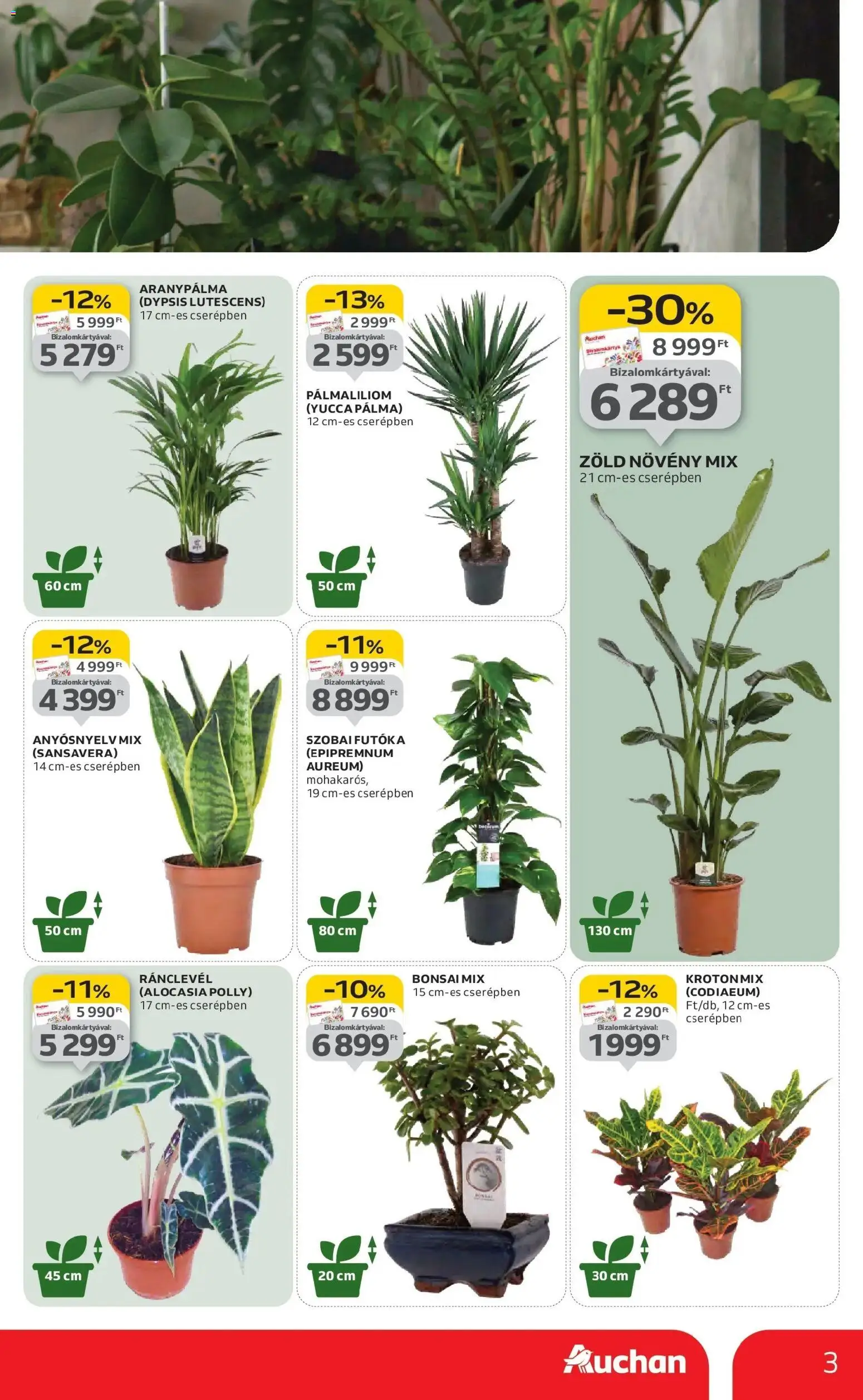 Auchan akciós ujság - amely érvényes a következő dátumtól: 22.01.2026 | Oldal: 3