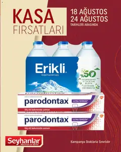 18.08.2025 tarihinden itibaren geçerli olan Seyhanlar Market kataloğu önizlemesi