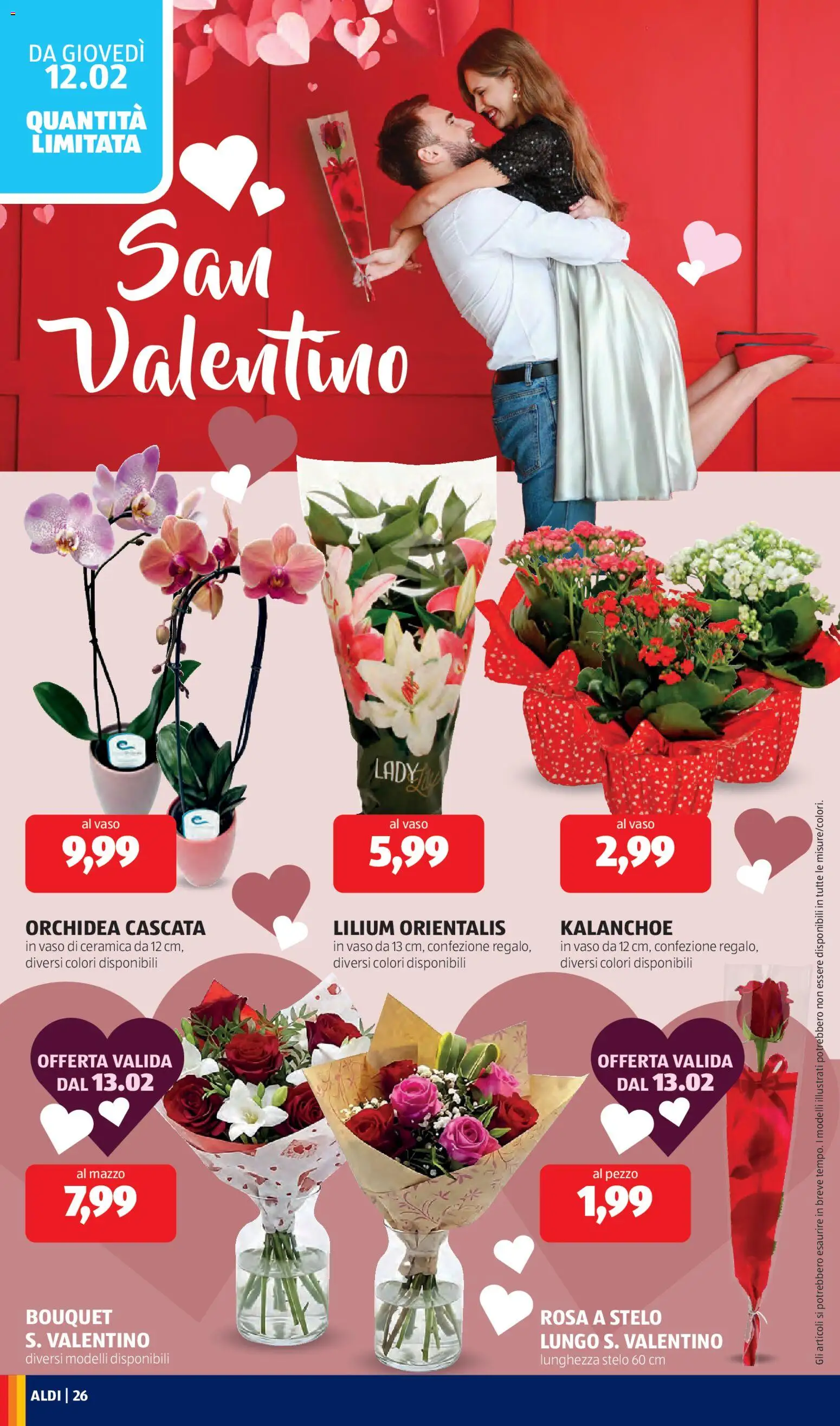 Volantino Aldi del 09.02.2026 | Pagina: 26 | Prodotti: Orchidea, Vaso
