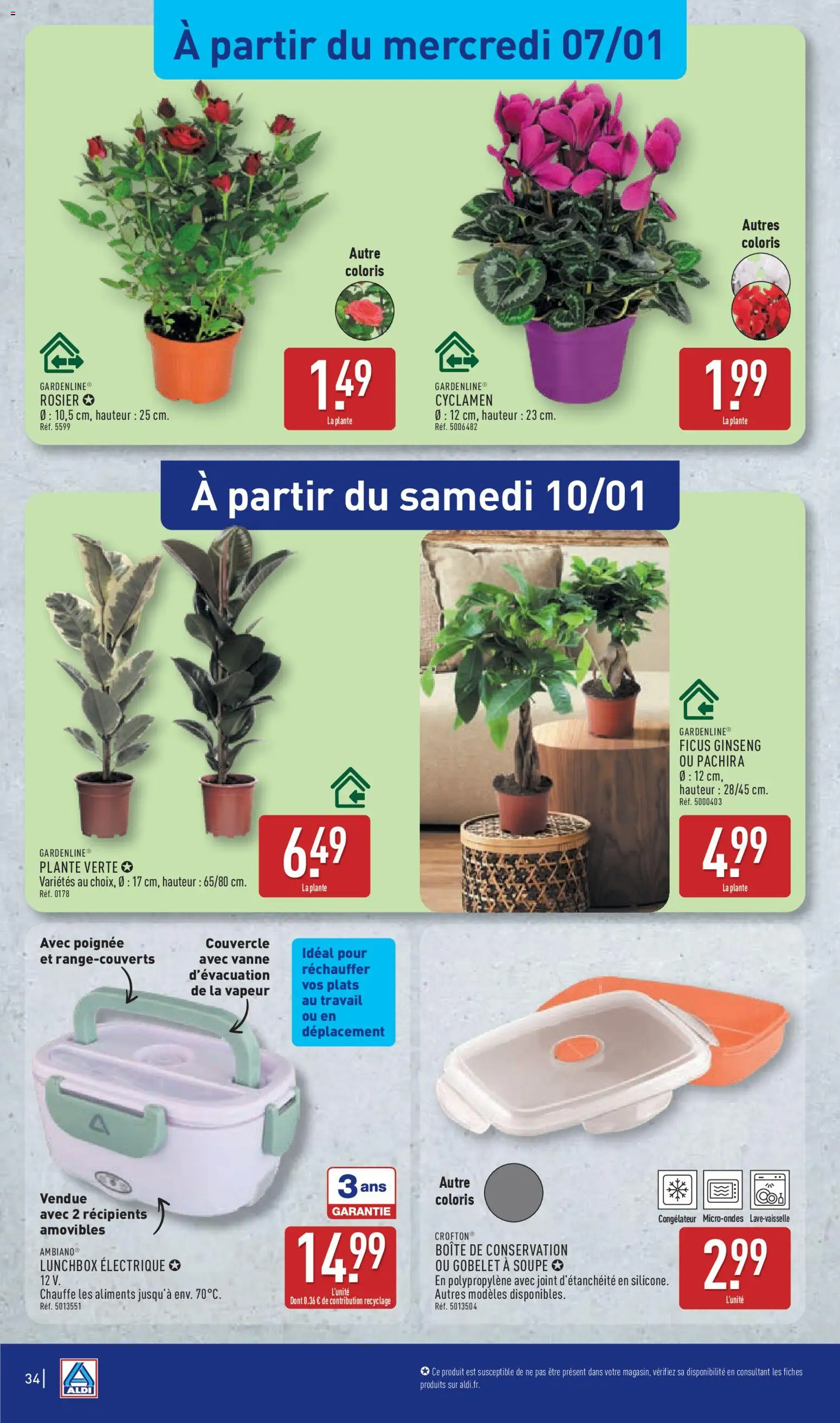 {H1} | Page: 36 | Produits: Soupe, Rosier, Congélateur, Plante verte