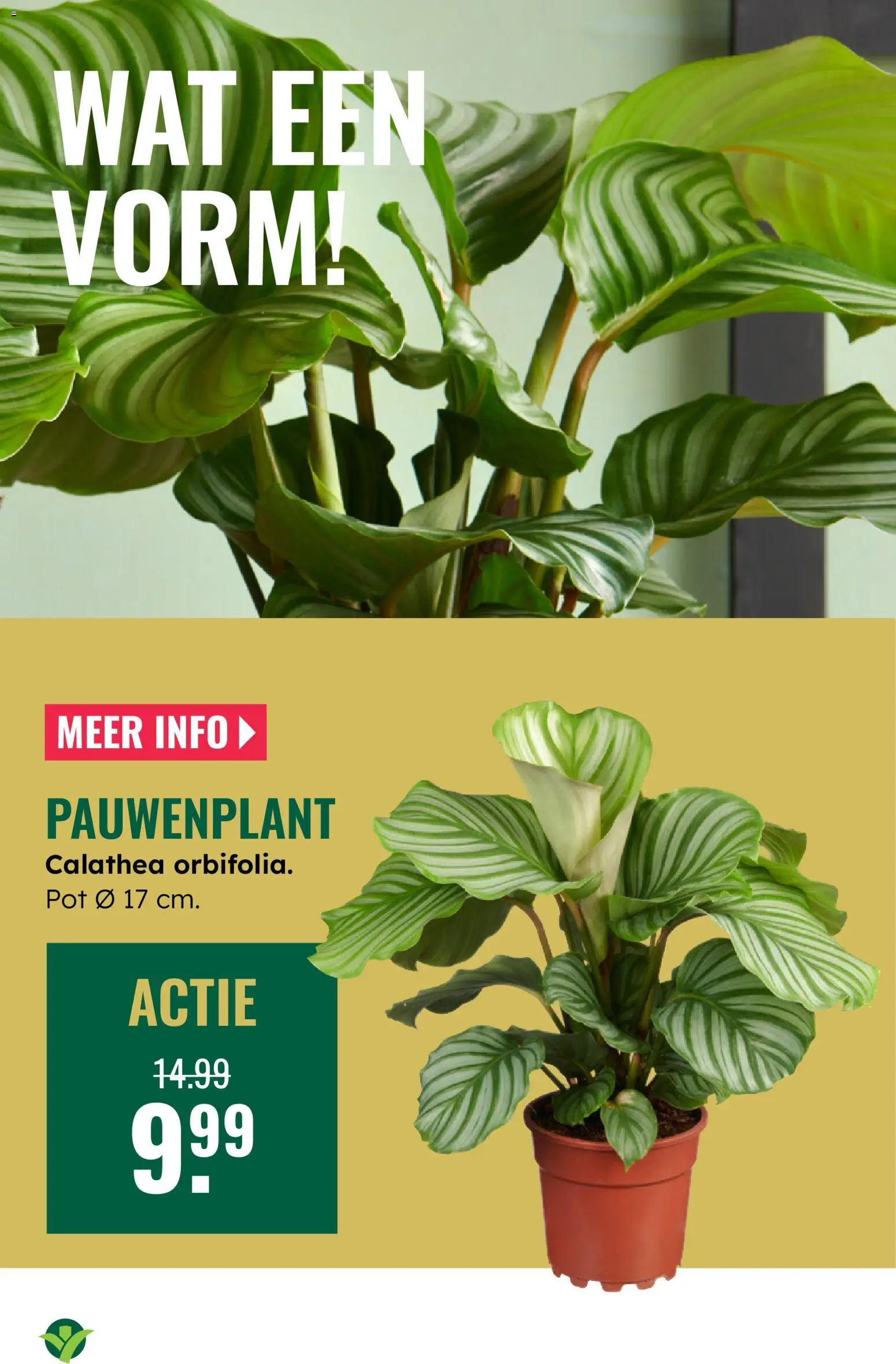 {H1} | Pagina: 10 | Producten: Pot