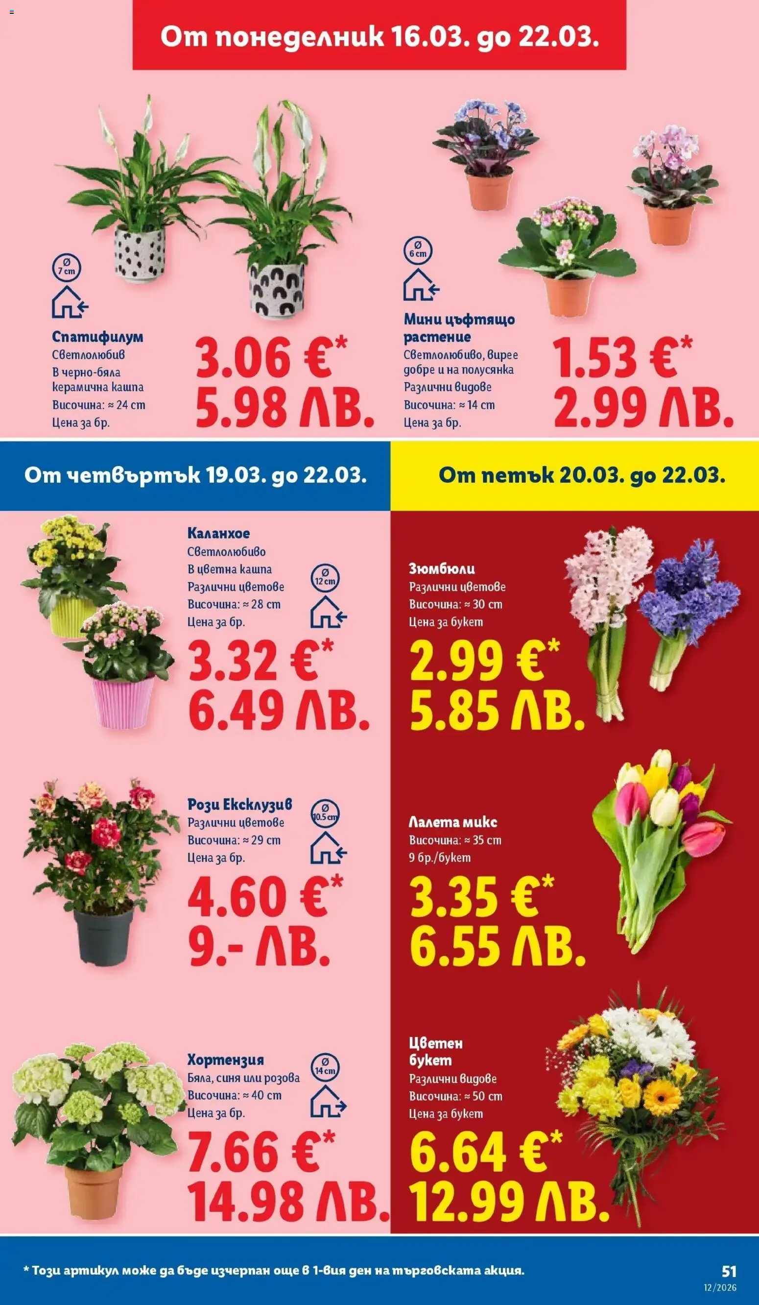 {H1} | Страница: 51 | Продукти: Кашпа