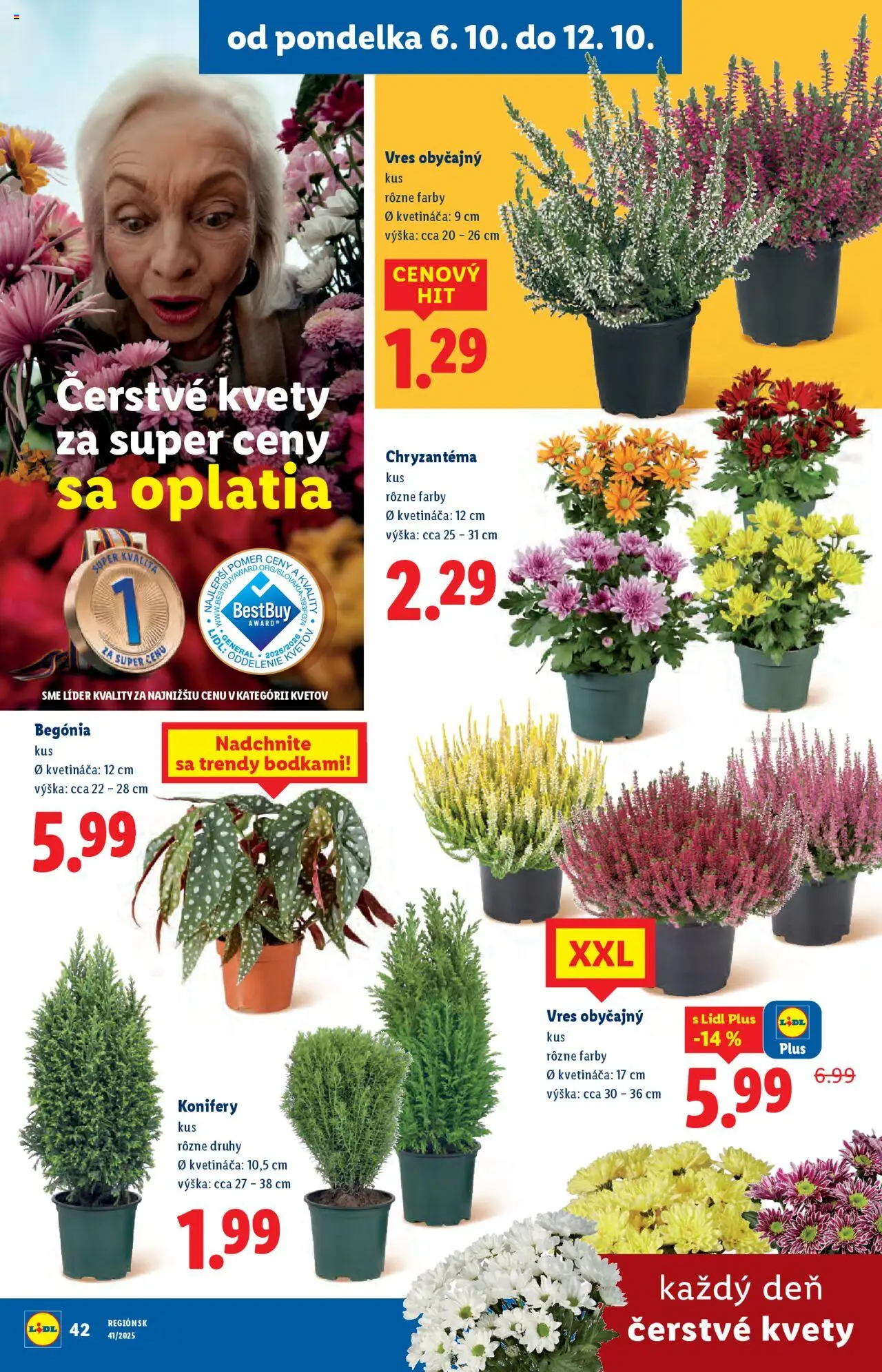 Nové Lidl akcie – leták je platný od 06.10.2025 | Strana: 55 | Produkty: Kvety