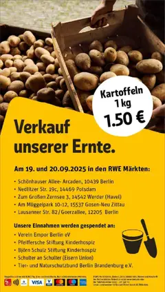 Kartoffeln, 1 kg Kartoffeln – gültig ab 15.09.2025 | Seite: 34 | Produkte: Kartoffeln