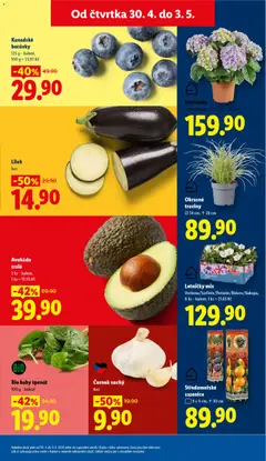 Náhled letáku Avokádo zralé, 2 ks - balení, 1 ks = 19,95 Kč od 30.04.2026 | Strana: 11 | Produkty: Lilek, Borůvky, Avokádo, Česnek