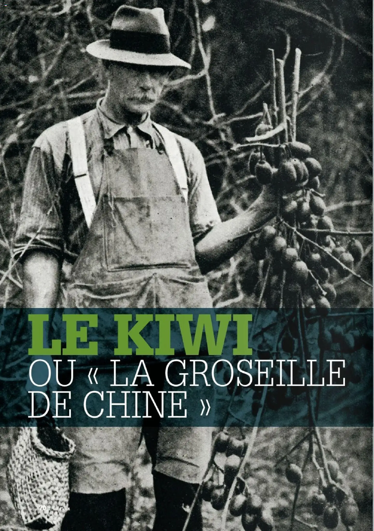 {H1} | Page: 70 | Produits: Groseille, Kiwi